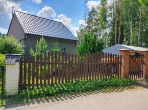 Domek w Borach, Nowe
